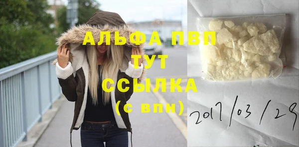 стафф Аркадак