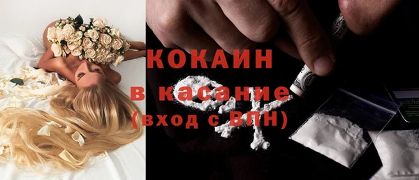 стафф Аркадак