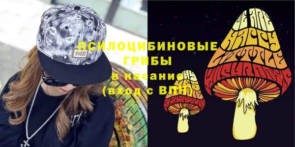 стафф Аркадак