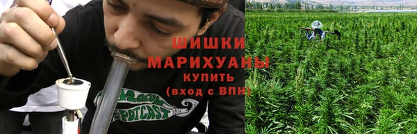 стафф Аркадак