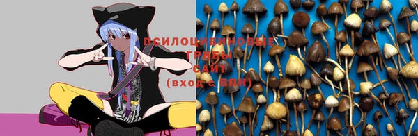 дурь Алексеевка