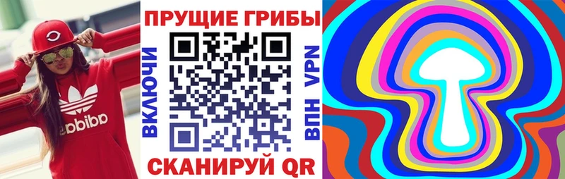 hydra ссылка  Константиновск  Псилоцибиновые грибы Magic Shrooms 